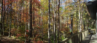 Cabin on wooded ridge, stair-free, 2 bedroom, child & pet friendly