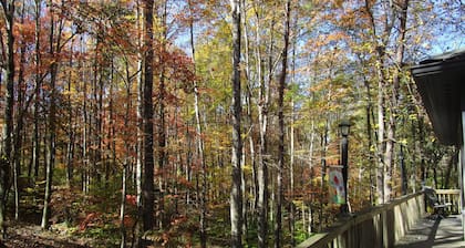 Cabin on wooded ridge, stair-free, 2 bedrm, child & pet friendly,AirBB Superhost