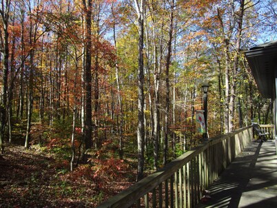 Cabin on wooded ridge, stair-free, 2 bedroom, child & pet friendly