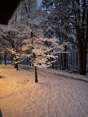 Un parque cubierto de nieve con árboles y bancos.