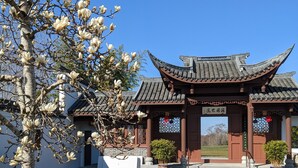 A traditional building with a tiled entrance and a tree with white flowers in front. - High Point Guesthouse (Seattle)