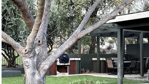 A covered outdoor seating area with stone walls and a tree in the foreground. - Luxurious 3-BR Home: BBQ Grill, Hot Tub & Fire Pit (Angels Camp)