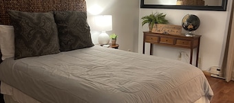 Unique apartment in historic downtown