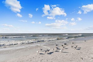 On the beach