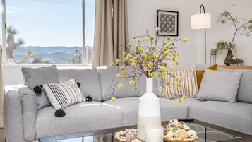 Smart TV, fireplace, stereo