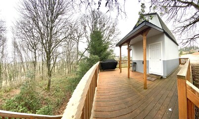 The Tree House of Paradise