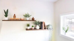 A wall with two shelves holding books, vases, and plants.