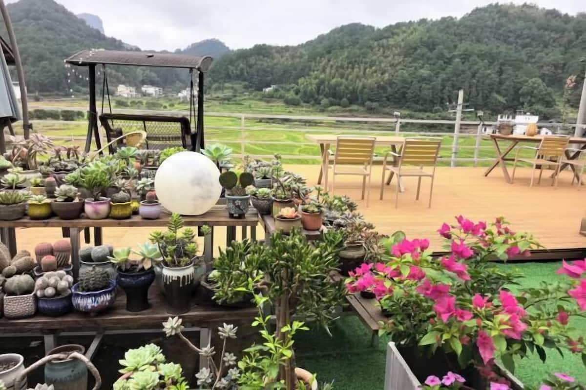 Een terras met plantenbakken en zitplaatsen.