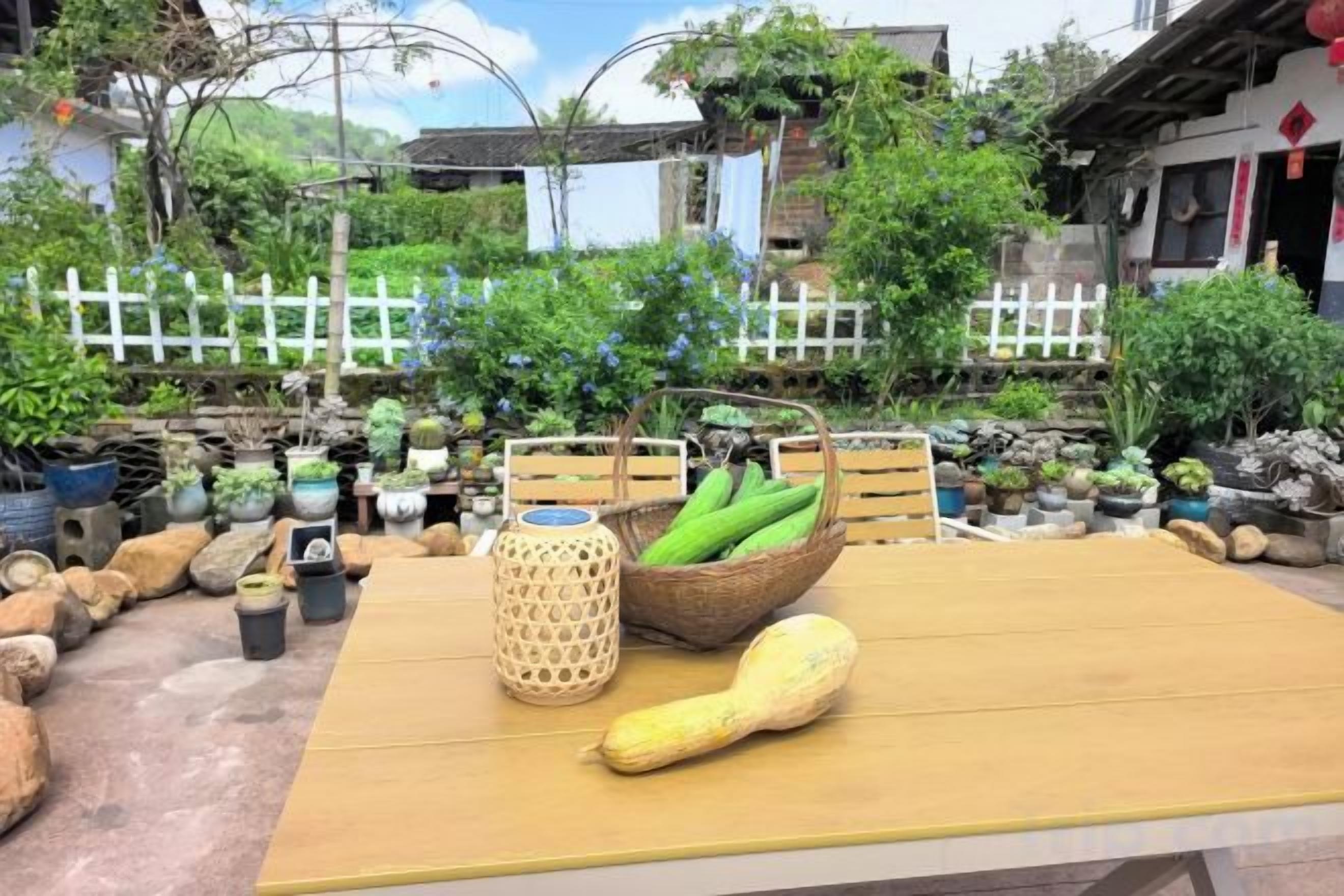 Een tafel met een mand vol groene groenten en een courgette, omringd door potplanten en een witte hekken op de achtergrond.