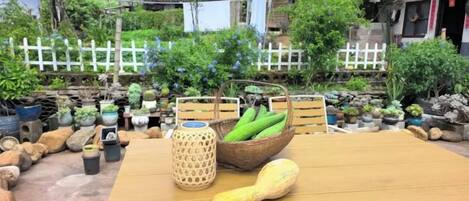 A table with a basket of green vegetables and a squash, surrounded by potted plants and a white fence in the background.