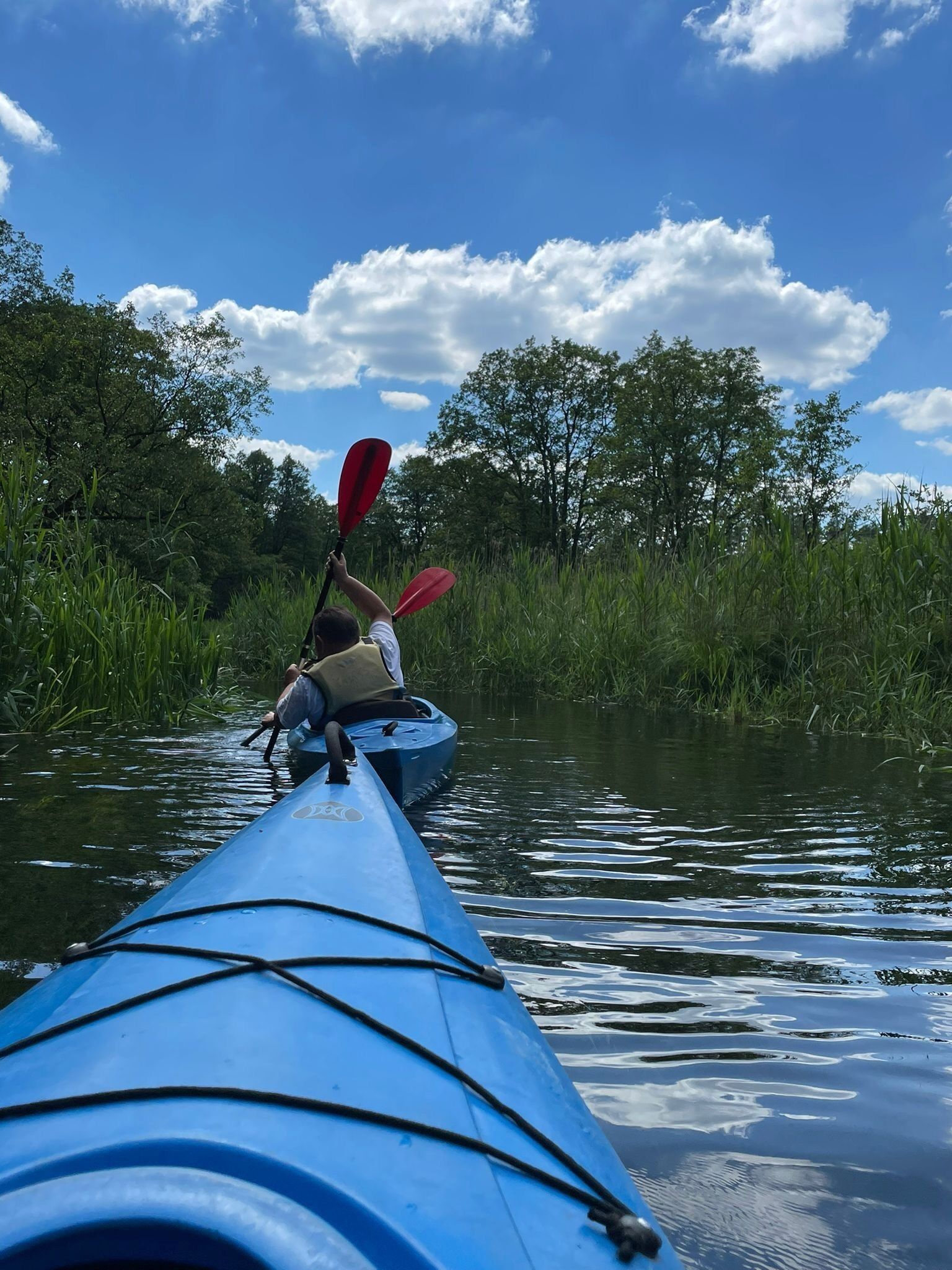 A kayak on a calm river with a person paddling.