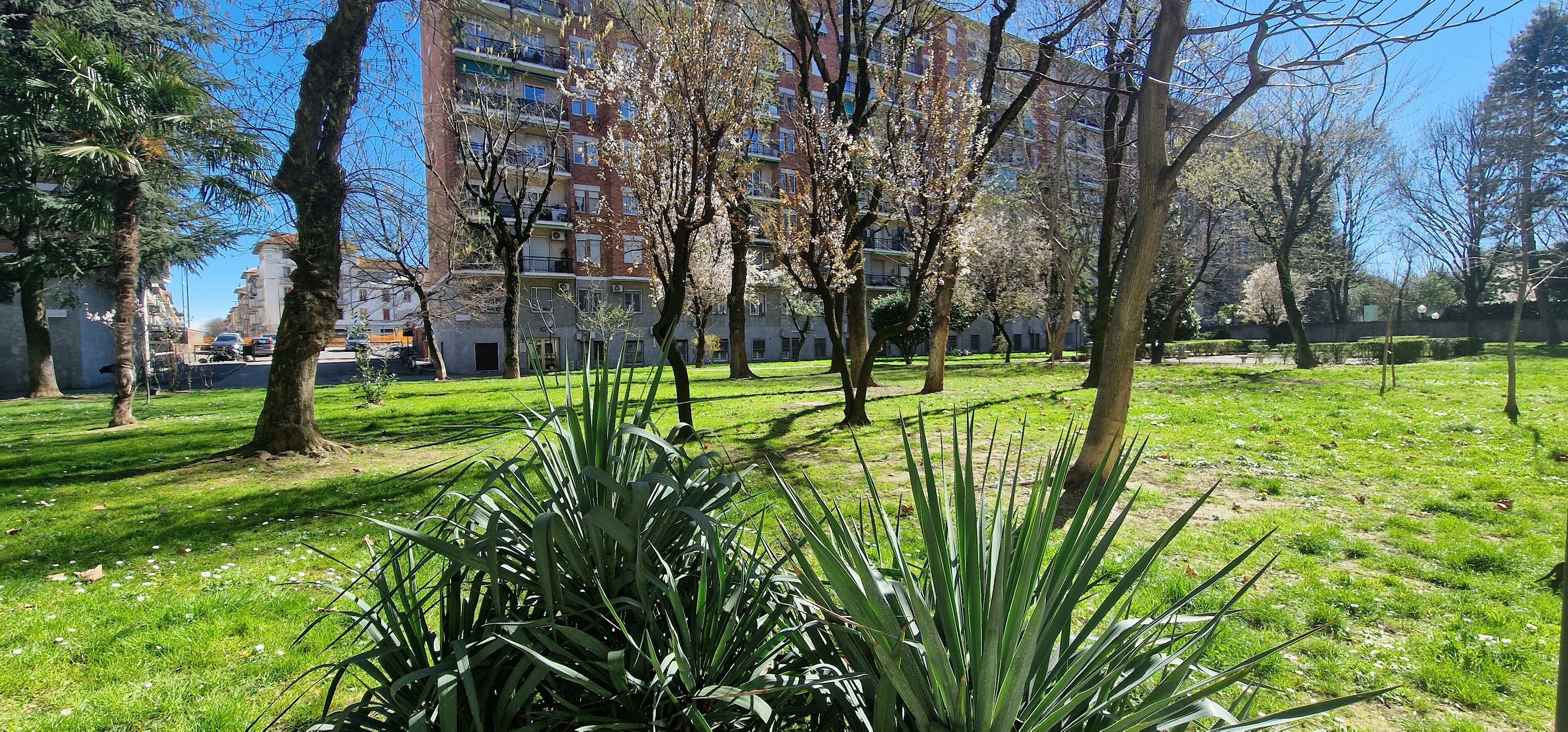 Ein Park mit grünem Rasen, Bäumen und einem Gebäude im Hintergrund.