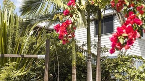 Una casa blanca con valla de madera y abundante vegetación, incluyendo palmeras y plantas con flores.