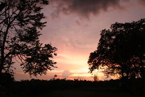 A sunset with silhouettes of trees and a cloudy sky. - Finca la colmena de don juaco  (Montenegro)