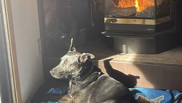Un chien est assis sur un coussin pour animaux de compagnie près d’une cheminée.