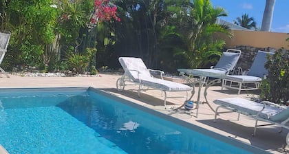 Tropical Studio