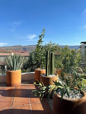Luxury House | Terrace/patio