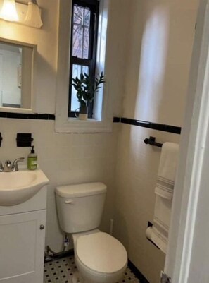 Shower - Lovely apartment with private yard in Clinton Hill (Brooklyn)