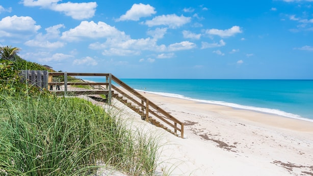 A beach with a wooden staircase leading down to the shore, surrounded by greenery.