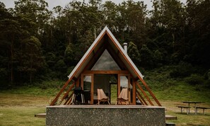 Property grounds - Tiny Home with outdoor heated pool (Pet-Friendly!) (Grevillia)