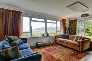 تلفزيون، مدفأة