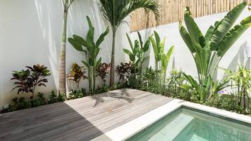 A modern outdoor pool area with a wooden deck, surrounded by various tropical plants and a bamboo fence.