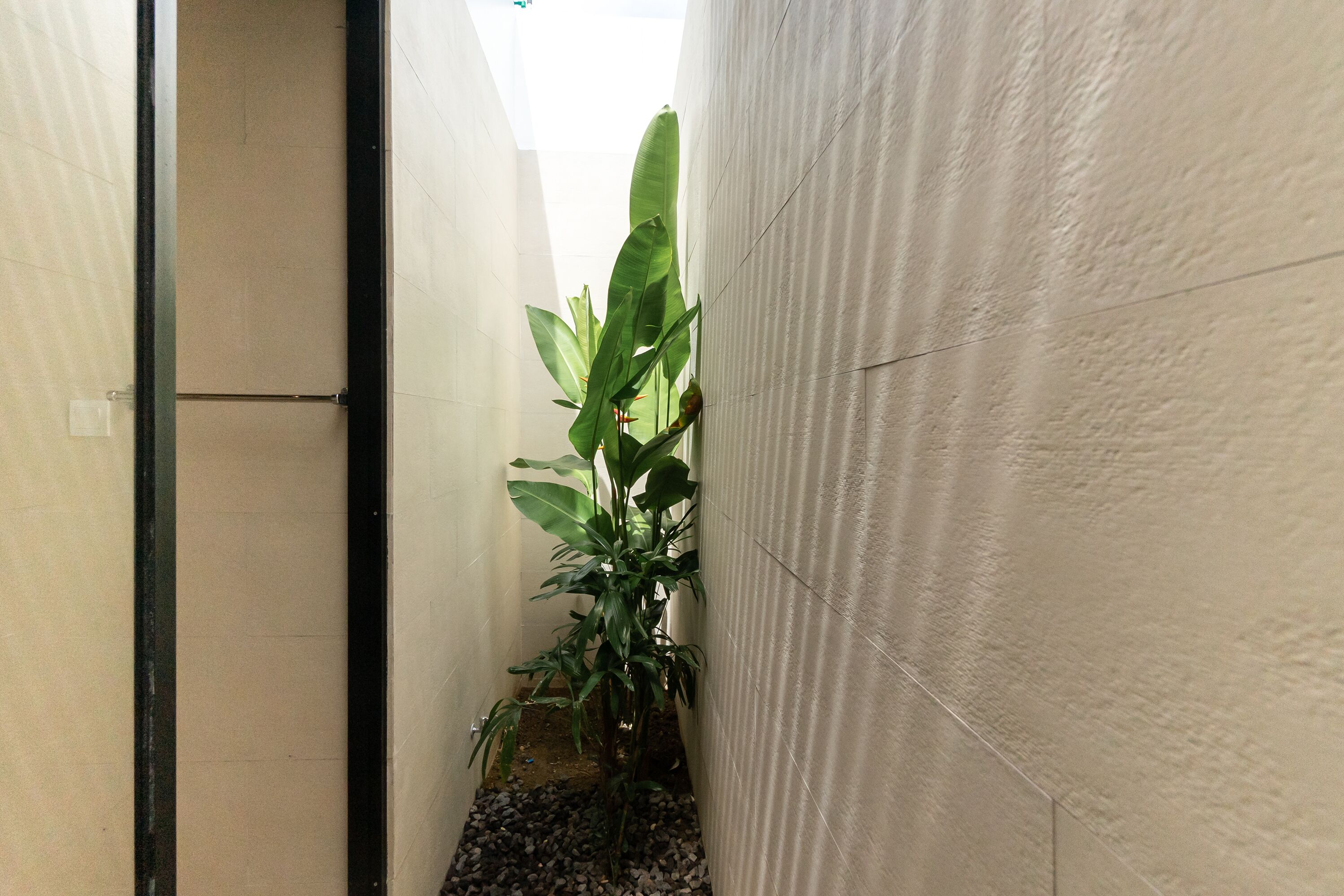 A narrow hallway with a potted plant and a door.