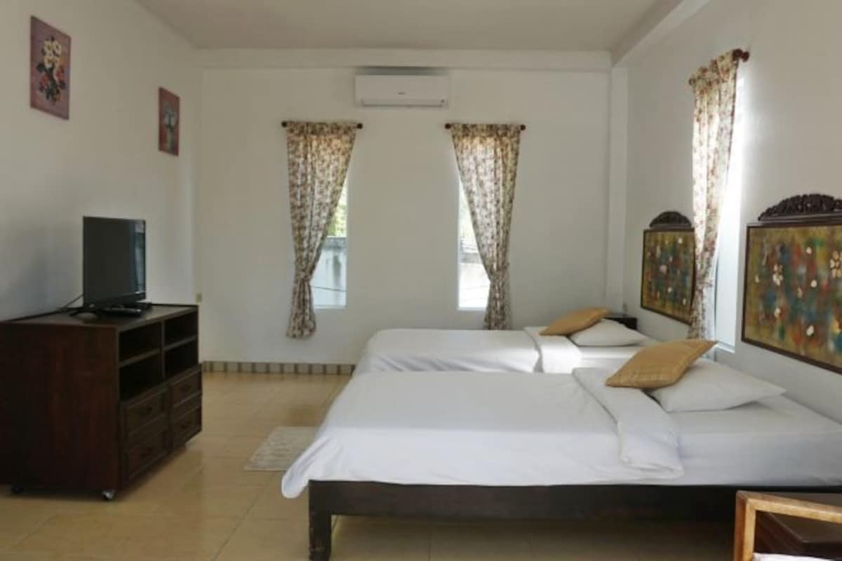 Una habitación de hotel con dos camas, un televisor sobre un mueble de madera y obras de arte en las paredes.