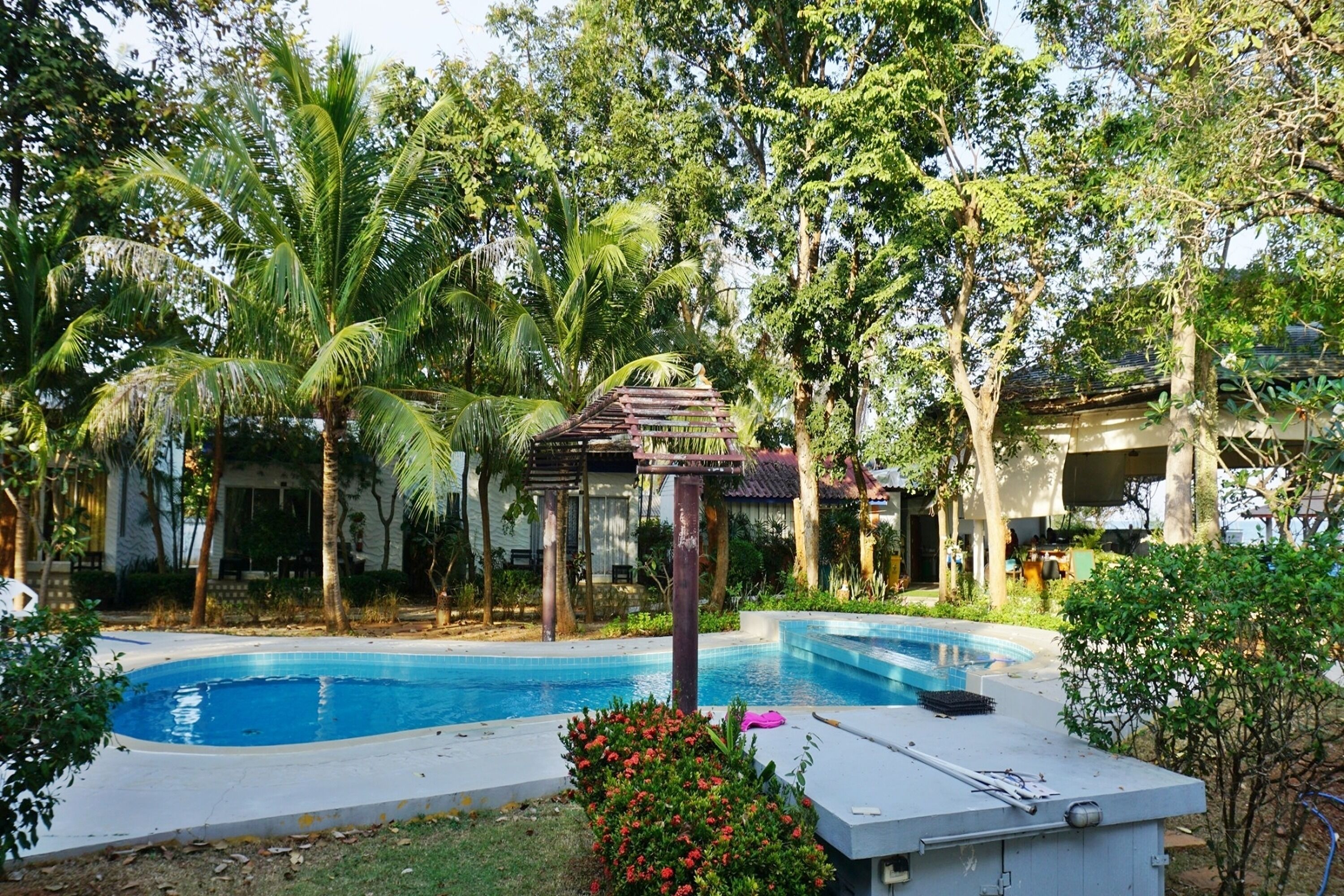 Economy Room | View from room