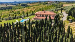 A villa with a swimming pool, surrounded by vineyards and cypress trees. - Tipologia Mono by Interhome (Vinci)