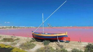 Un bateau avec un mât blanc et une coque aux couleurs vives était amarré sur une plage de sable rouge.