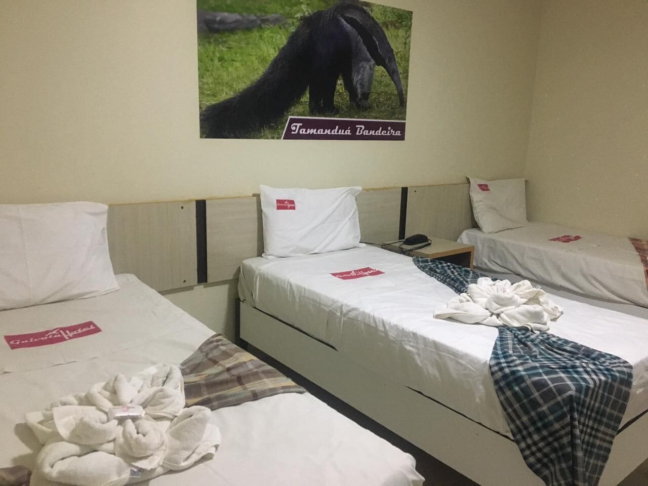 A hotel room with two beds, white bedding, and a poster of a tamanduá tamanduá on the wall.