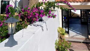 Eine Palme, violette Bougainvillea-Blüten und ein weißes Gebäude.