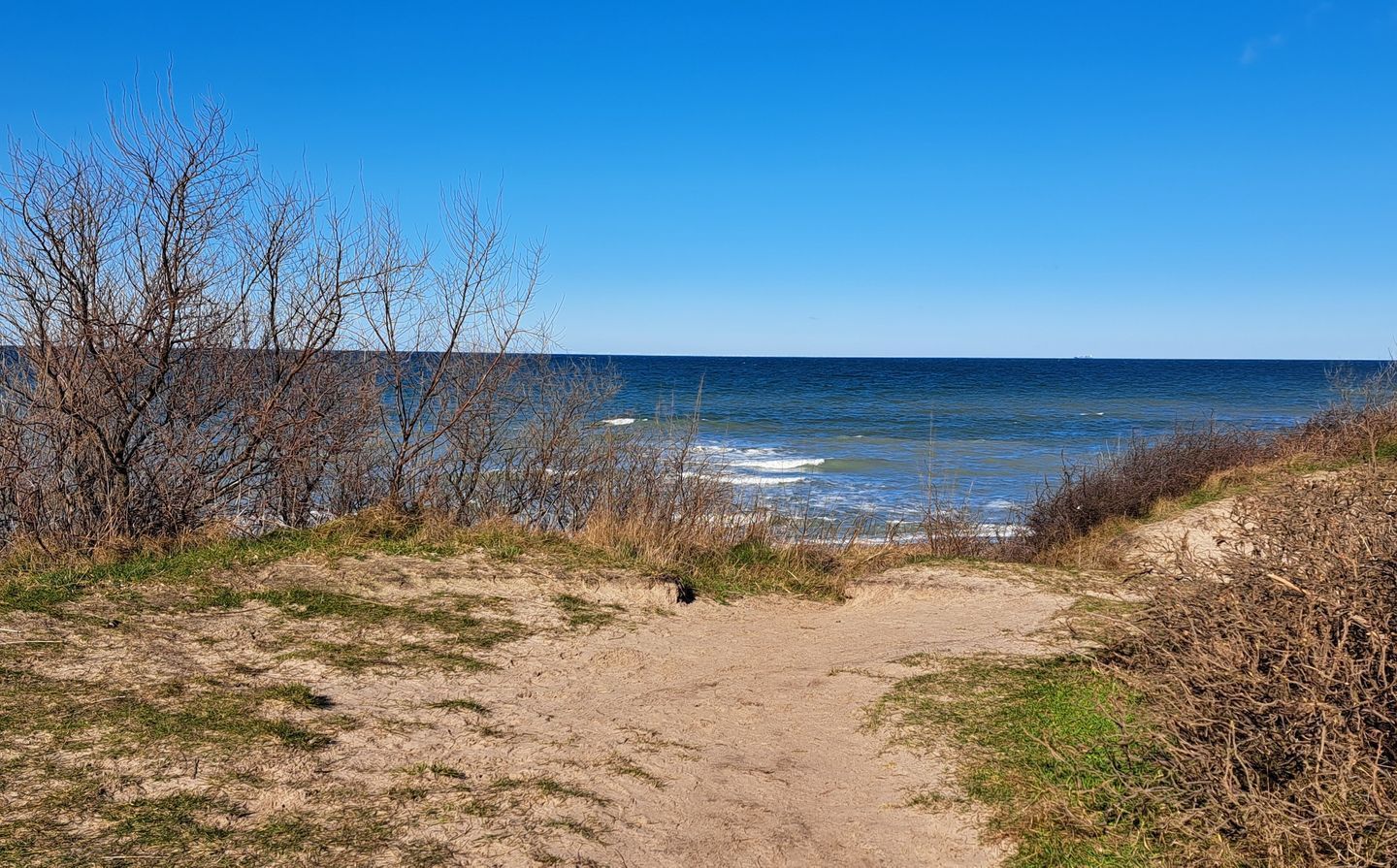 Ein Küstenpfad, der zum Meer führt, mit spärlicher Vegetation und blauem Himmel.