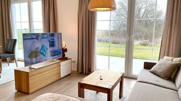 Televisión, chimenea