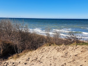 Une plage au sol sablonneux et à la végétation clairsemée.