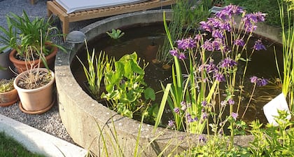 Ferienwohnung 'Haus Rosenbusch' mit Privatterrasse, Gemeinschaftsgarten und WLAN
