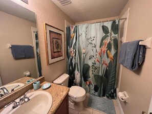 Hair dryer, towels