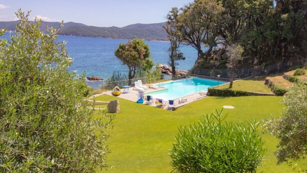 Une piscine avec vue sur la mer, entourée d’arbres et bordée d’une pelouse bien entretenue.