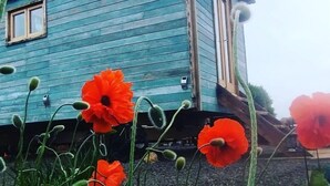 A blue wooden house with a small window and door. - The Sanderling  - sleeps 2 guests  in 1 bedroom (Beadnell)