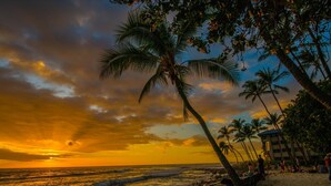Ein Strand mit Palmen und einem Sonnenuntergang.