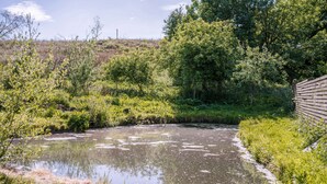 Eine natürliche Landschaft mit einem Gewässer, umgeben von üppigem Grün und Bäumen.