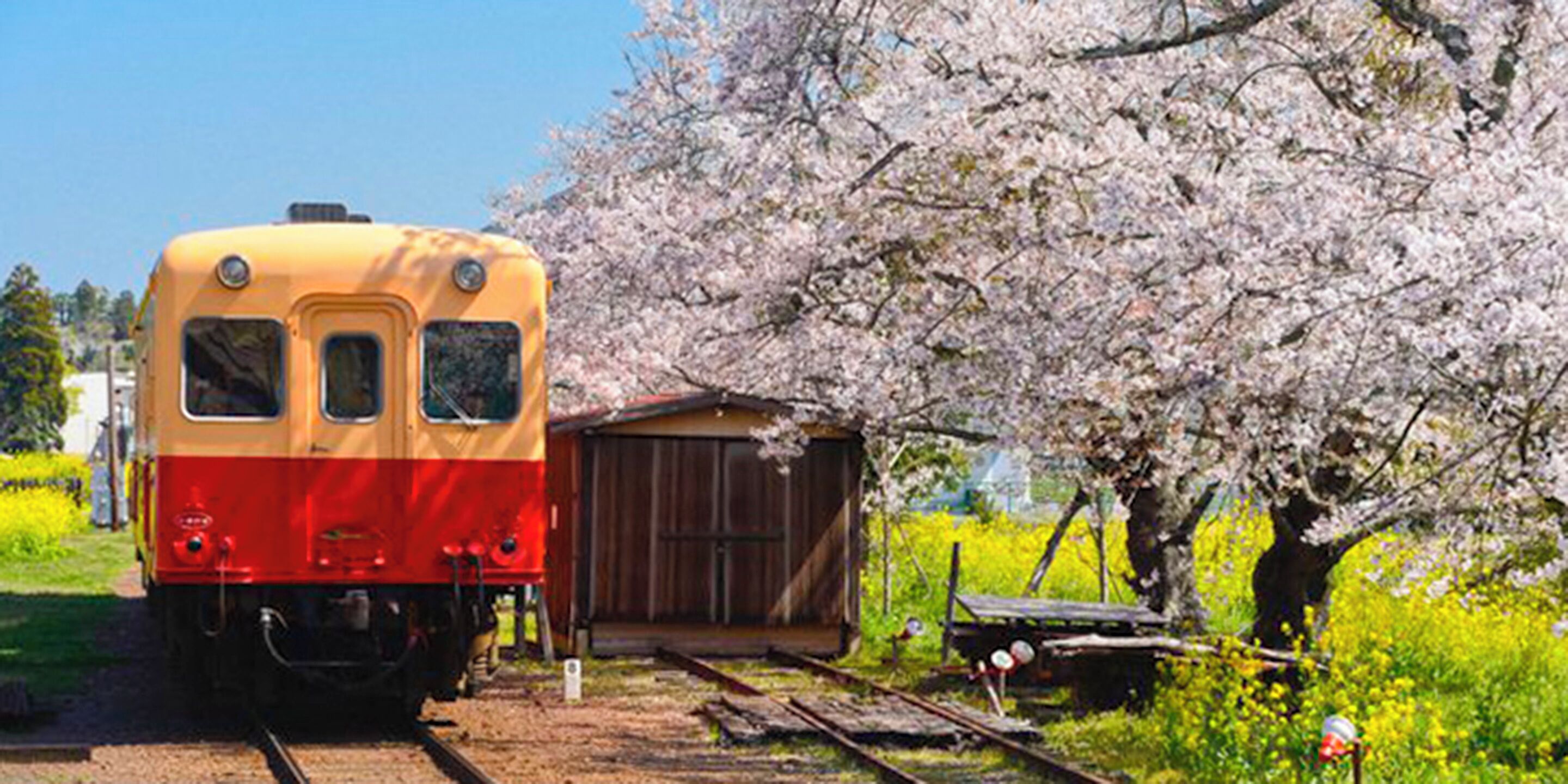 Un tren antiguo estacionado en las vías, con un cobertizo pequeño cerca.