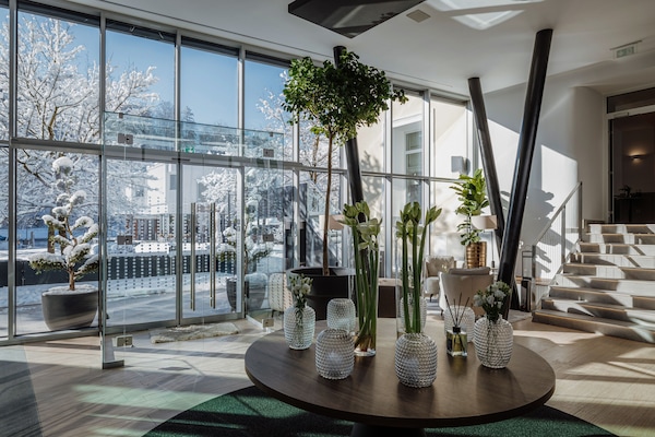 منطقة الاستقبال