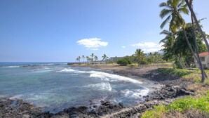 Un paysage côtier avec une eau d’un bleu limpide, une côte rocheuse et des palmiers.