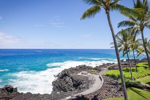 A coastal view with a rocky shoreline, a pathway, and palm trees. - Aloha Condos, Keauhou Kona Surf and Racquet Club, Condo 2-302, Oceanfront, AC (Kailua Kona)