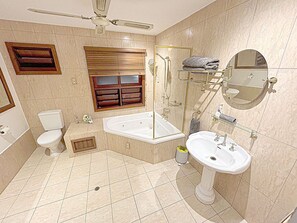 Ducha, bañera de hidromasaje, secador de pelo y toallas