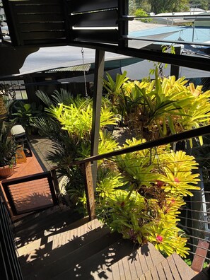 Property grounds - Queenslander apartment with plenty of space and very tropical.Sleeps six people. (Whitfield)