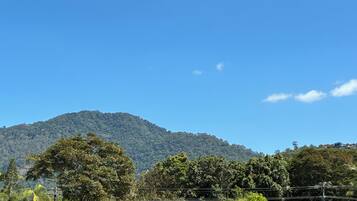 A mountain with dense forest under a clear blue sky.