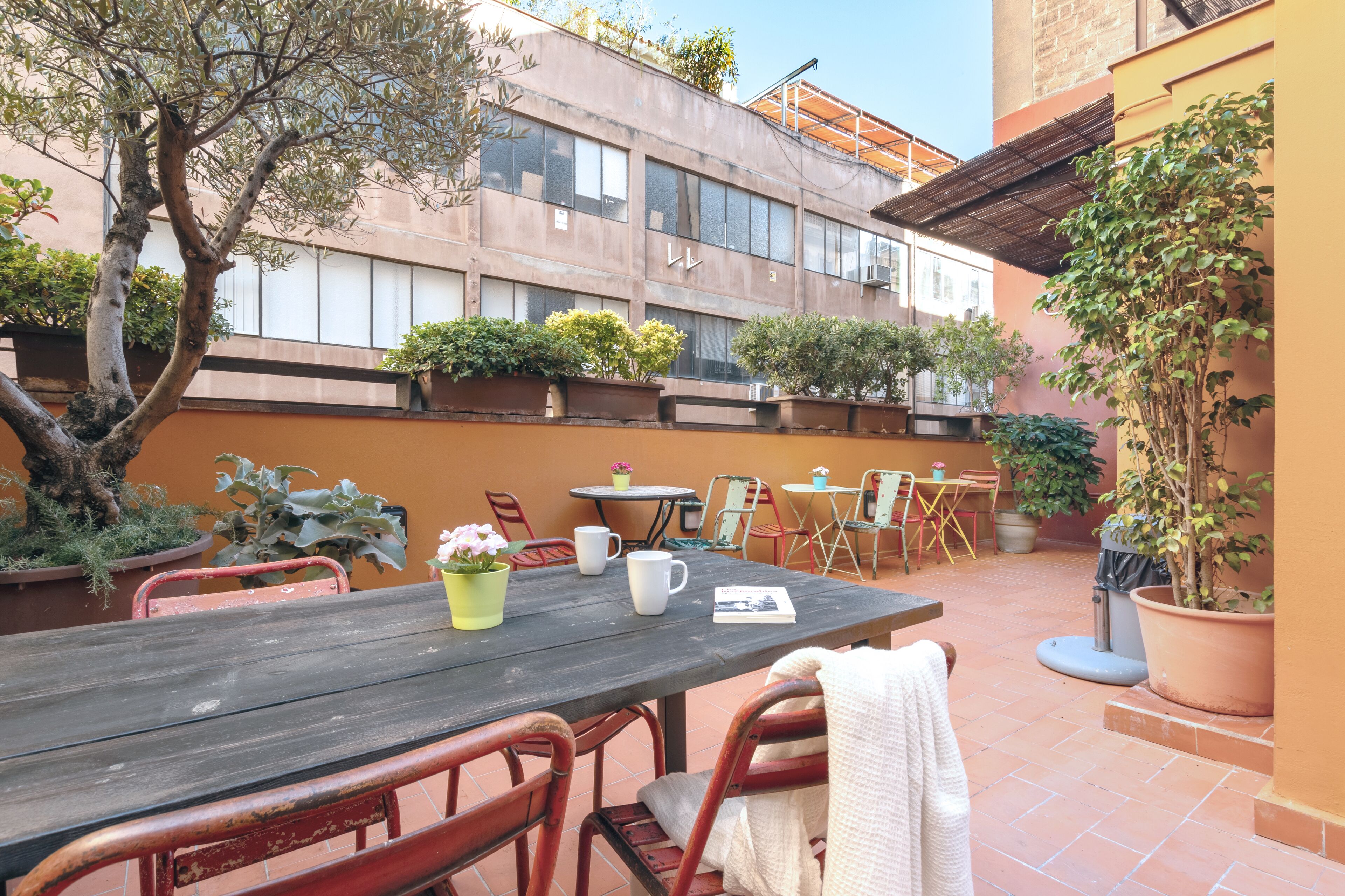 Terraza en la azotea